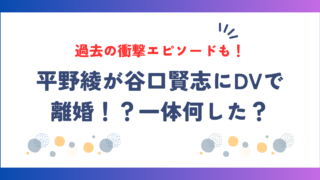 【何した？】平野綾が谷口賢志にDVで離婚！？過去もヤバい衝撃エピソード！