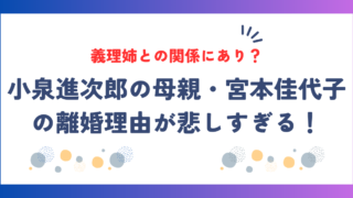 小泉進次郎の母親・宮本佳代子の離婚理由が悲しすぎる！小泉純一郎の姉との関係にあり？